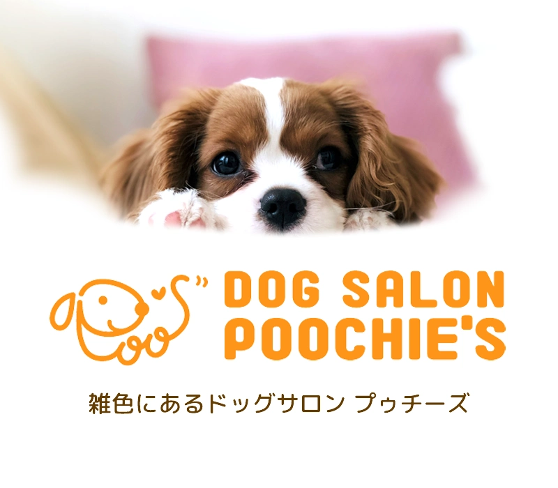 POOCHIE'S